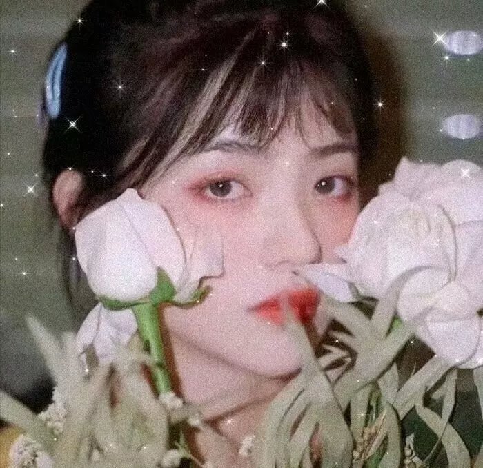 再见玛丽·包萍